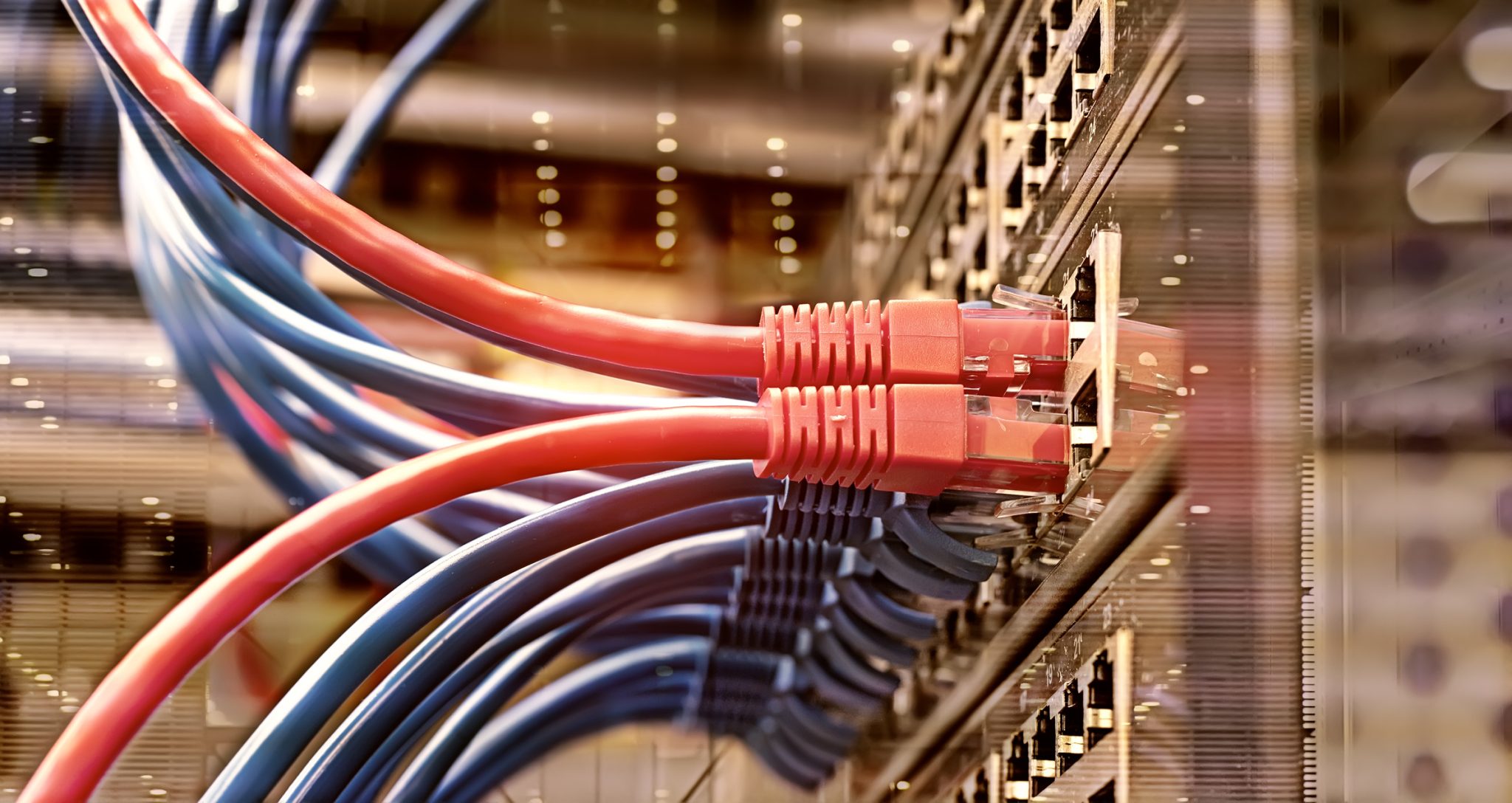 Server rack with blue and red internet patch cord cables connected to black patch panel in data server room